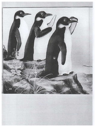 Los pinguinos-emperadores-llegan-al-norte-chicopdf | PDF