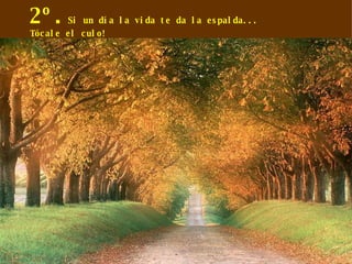 2º. Si un día la vida te da la espalda... Tócale el culo! 