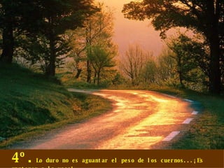 4º. Lo duro no es aguantar el peso de los cuernos...¡Es mantener a la vaca! 