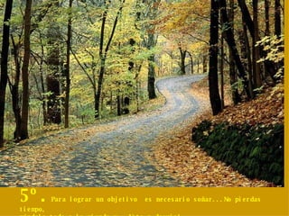 5º. Para lograr un objetivo  es necesario soñar...No pierdas tiempo, mándalo todo a la mierda y...Vete a dormir! 