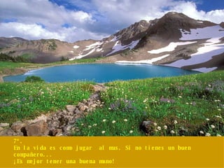 7º. En la vida es como jugar  al mus. Si no tienes un buen compañero... ¡Es mejor tener una buena mano! 