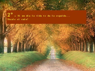 2º. Si un día la vida te da la espalda... Tócale el culo! 