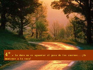 4º. Lo duro no es aguantar el peso de los cuernos...¡Es mantener a la vaca! 