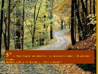 5º. Para lograr un objetivo  es necesario soñar...No pierdas tiempo, mándalo todo a la mierda y...Vete a dormir! 