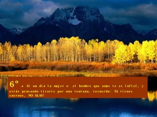 6º. Si un día la mujer o  el hombre que amas te es infiel, y estás pensando tirarte por una ventana, recuerda: Tú tienes cuernos, NO ALAS! 