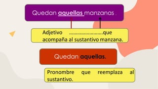 Quedan aquellas manzanas .
Adjetivo …………………….que
acompaña al sustantivo manzana.
Quedan aquellas.
Pronombre que reemplaza al
sustantivo.
 