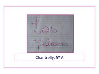 Chantrelly, 5º A 