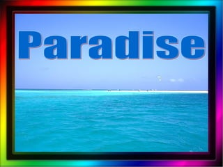 Paradise 