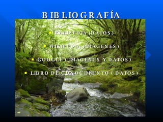 BIBLIOGRAFÍA KALIPEDIA (DATOS) WIKIPEDIA (IMÁGENES) GOOGLE ( IMÁGENES Y DATOS) LIBRO DE CONOCIMIENTO ( DATOS)