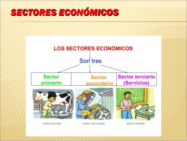 Los sectores de produccion
