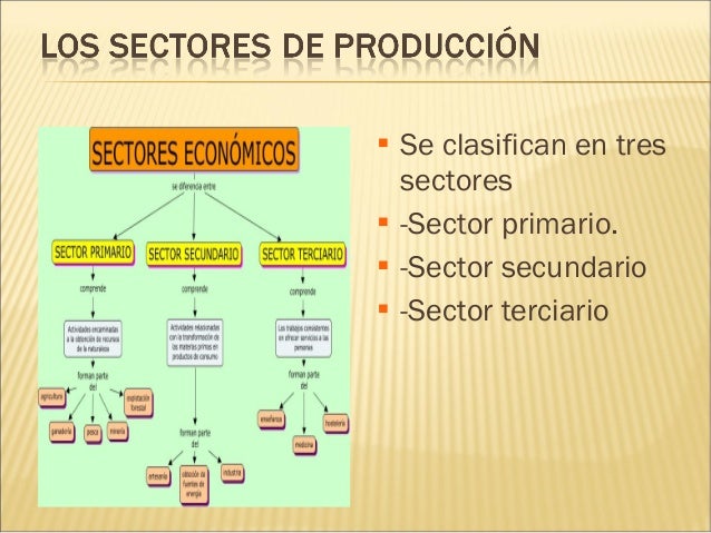 Los sectores de produccion