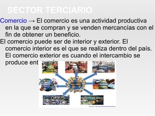 Comercio → El comercio es una actividad productiva
en la que se compran y se venden mercancías con el
fin de obtener un beneficio.
El comercio puede ser de interior y exterior. El
comercio interior es el que se realiza dentro del país.
El comercio exterior es cuando el intercambio se
produce entre países.
SECTOR TERCIARIO
 