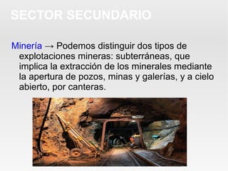 SECTOR SECUNDARIO
Minería → Podemos distinguir dos tipos de
explotaciones mineras: subterráneas, que
implica la extracción de los minerales mediante
la apertura de pozos, minas y galerías, y a cielo
abierto, por canteras.
 