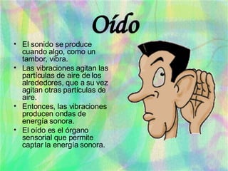 Oído El sonido se produce cuando algo, como un tambor, vibra. Las vibraciones agitan las partículas de aire de los alrededores, que a su vez agitan otras partículas de aire. Entonces, las vibraciones  producen ondas de energía sonora. El oído es el órgano sensorial que permite captar la energía sonora. 