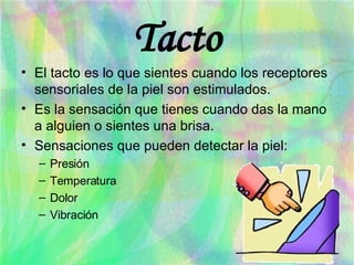Tacto El tacto es lo que sientes cuando los receptores sensoriales de la piel son estimulados. Es la sensación que tienes cuando das la mano a alguien o sientes una brisa. Sensaciones que pueden detectar la piel: Presión Temperatura Dolor Vibración 