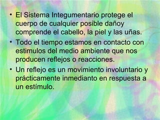 El Sistema Integumentario protege el cuerpo de cualquier posible dañoy comprende el cabello, la piel y las uñas. Todo el tiempo estamos en contacto con estimulos del medio ambiente que nos producen reflejos o reacciones. Un reflejo es un movimiento involuntario y prácticamente inmedianto en respuesta a un estímulo. 