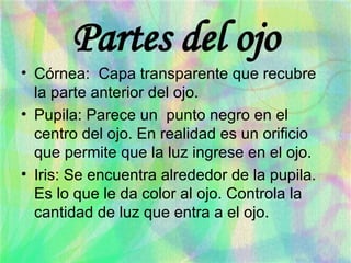 Partes del ojo Córnea:  Capa transparente que recubre la parte anterior del ojo. Pupila: Parece un  punto negro en el centro del ojo. En realidad es un orificio que permite que la luz ingrese en el ojo. Iris: Se encuentra alrededor de la pupila. Es lo que le da color al ojo. Controla la cantidad de luz que entra a el ojo. 