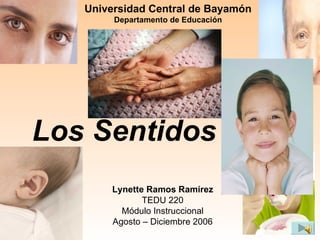 Universidad Central de Bayamón
        Departamento de Educación




Los Sentidos
       Lynette Ramos Ramírez
              TEDU 220
         Módulo Instruccional
       Agosto – Diciembre 2006
 