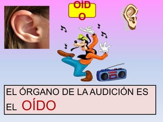OÍD
O
EL ÓRGANO DE LA AUDICIÓN ES
EL OÍDO
 