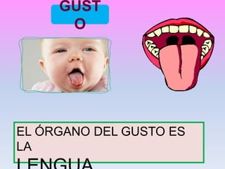 GUST
O
EL ÓRGANO DEL GUSTO ES
LA
 