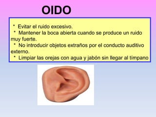* Evitar el ruido excesivo.
* Mantener la boca abierta cuando se produce un ruido
muy fuerte.
* No introducir objetos extraños por el conducto auditivo
externo.
* Limpiar las orejas con agua y jabón sin llegar al tímpano
OIDO
 