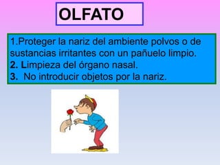 OLFATO
1.Proteger la nariz del ambiente polvos o de
sustancias irritantes con un pañuelo limpio.
2. Limpieza del órgano nasal.
3. No introducir objetos por la nariz.
 