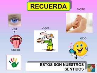 RECUERDA
ESTOS SON NUESTROS
SENTIDOS
GUSTO
OLFAT
O
TACTO
VIST
A
OÍDO
 