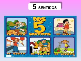 5 SENTIDOS
 