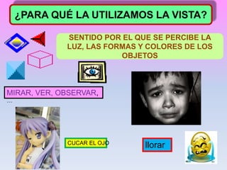 ¿PARA QUÉ LA UTILIZAMOS LA VISTA?
MIRAR, VER, OBSERVAR,
…
llorar
CUCAR EL OJO
SENTIDO POR EL QUE SE PERCIBE LA
LUZ, LAS FORMAS Y COLORES DE LOS
OBJETOS
 