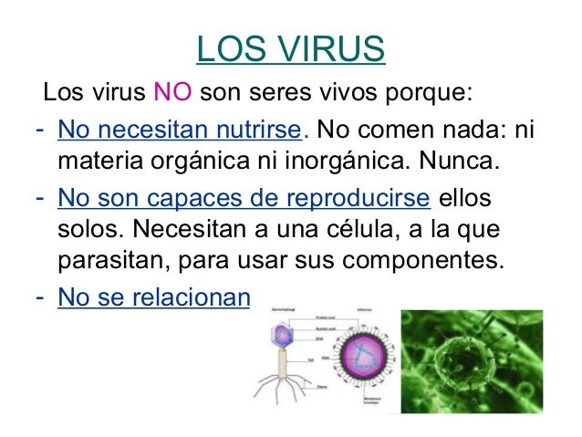 Los seres vivos power point