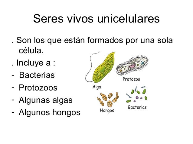 Los seres vivos power point
