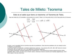 Tales de Mileto: Teorema Este es el sabio que tiene un teorema: el Teorema de Tales. Sean dos rectas  (d)  y  (d')  orientadas y concurrentes en un punto  O . Sean  A  y  A'  dos puntos de  (d) , y  B  y  B'  dos puntos de  (d') . Entonces:                                                                                            Es decir, que la igualdad de los cocientes equivale al paralelismo. Este teorema establece así una relación entre el álgebra y la geometría. La primera figura corresponde a medidas algebraicas positivas - los vectores  OA ,  OA' ,  OB  y  OB'  tienen la misma orientación que la rectas  (d)  y  (d') , y la segunda a cocientes negativos. Si se aplica el teorema, tenemos además otra consecuencia: si se orienta de la misma manera las dos rectas paralelas  (AB)  y  (A'B') , es decir con el mismo vector, entonces el tercer cociente (de medidas algebraicas):  A'B'  /  AB  es igual a los dos anteriores. 