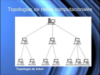 Topologías de redes computacionales Topología de árbol 