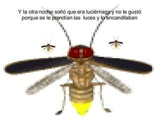 Y la otra noche soñó que era luciérnaga y no le gustó porque se le prendían las  luces y lo encandilaban 