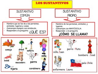 Los sustantivos comunes y propios. | PPT