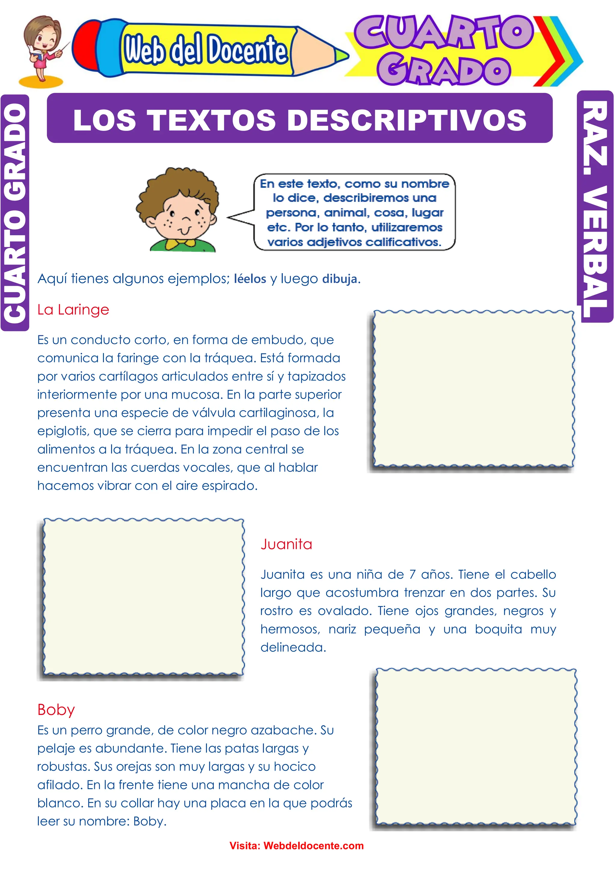 Ejemplos De Textos Descriptivos Para Sexto Grado De Primaria Images And