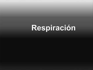 Respiración
 