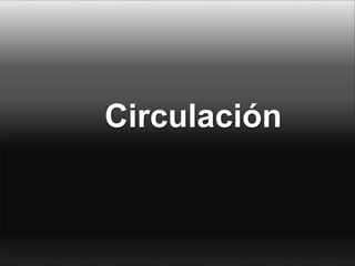 Circulación
 