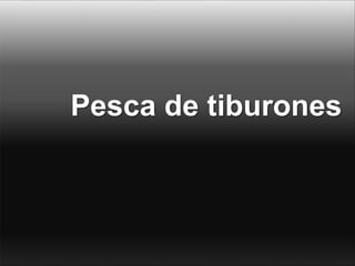 Pesca de tiburones
 
