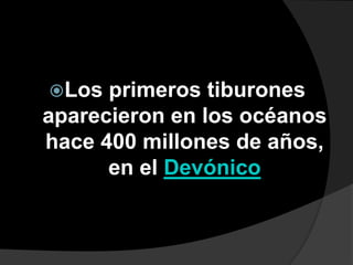 Los primeros tiburones
aparecieron en los océanos
hace 400 millones de años,
en el Devónico
 