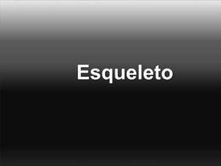 Esqueleto
 