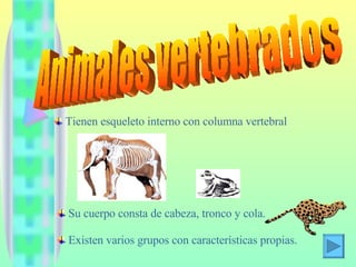 Animales vertebrados ,[object Object],[object Object],[object Object],                                      