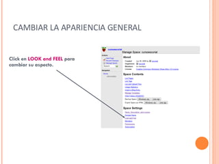 CAMBIAR LA APARIENCIA GENERAL Click en  LOOK and FEEL  para cambiar su aspecto. 