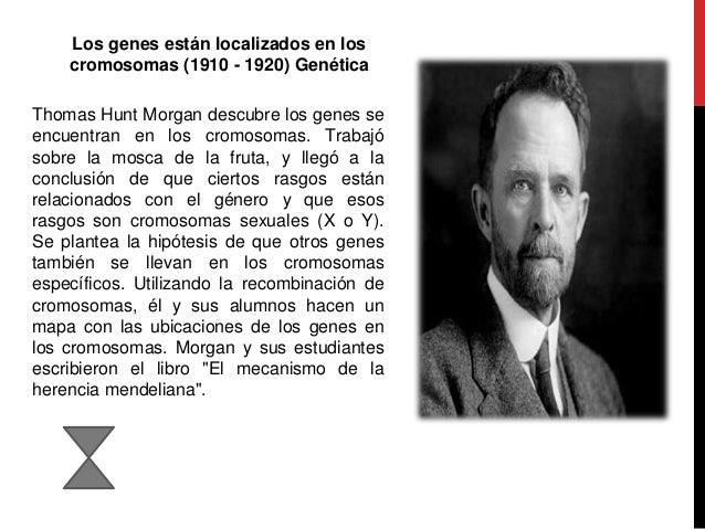 Los 100 cientificos que han aportado a la ciencia
