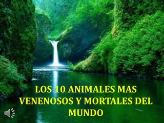 LOS 10 ANIMALES MAS
VENENOSOS Y MORTALES DEL
MUNDO
 