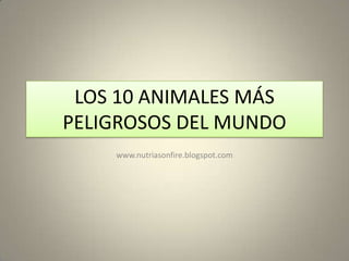 LOS 10 ANIMALES MÁS
PELIGROSOS DEL MUNDO
www.nutriasonfire.blogspot.com

 
