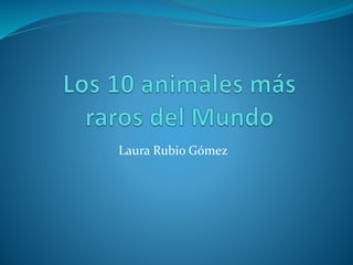 Laura Rubio Gómez
 