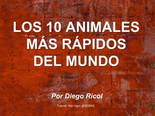 LOS 10 ANIMALES
MÁS RÁPIDOS
DEL MUNDO
Por Diego Ricol
Fuente: http://goo.gl/40Sl4X
 
