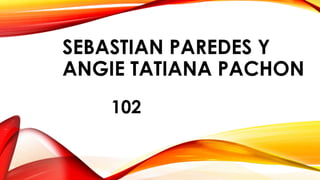 SEBASTIAN PAREDES Y 
ANGIE TATIANA PACHON 
102 
 