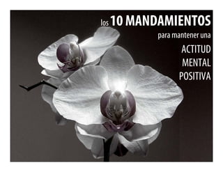 los   10 MANDAMIENTOS
             para mantener una
                    ACTITUD
                    MENTAL
                   POSITIVA
 